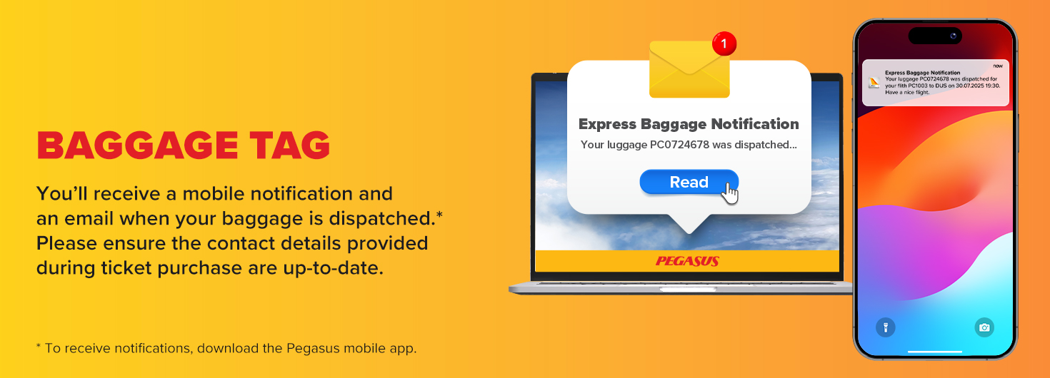 Express Baggage Pegasus Airlines